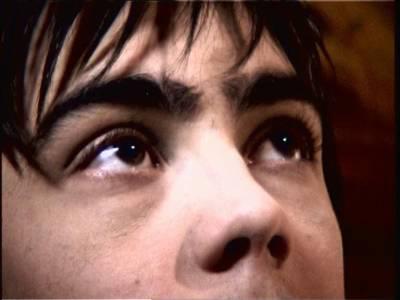 les derniers jours de greg